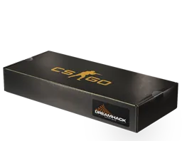 2013年 DreamHack 纪念包
