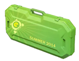 电竞 2014 夏季武器箱