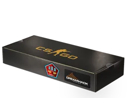 2014年 DreamHack 锦标赛荒漠迷城纪念包