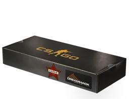 2014年 DreamHack 锦标赛死城之迷纪念包