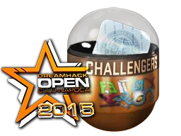 2015年 DreamHack 克卢日-纳波卡锦标赛挑战组（闪亮）