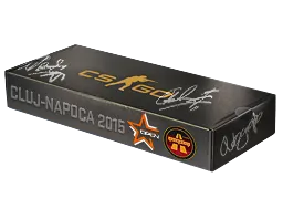2015年 DreamHack 克卢日-纳波卡锦标赛死亡游乐园纪念包