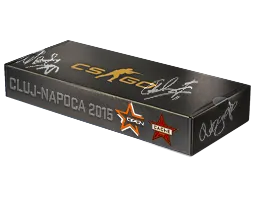 2015年 DreamHack 克卢日-纳波卡锦标赛死城之谜纪念包