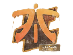 封装的涂鸦 | Fnatic | 2017年亚特兰大锦标赛