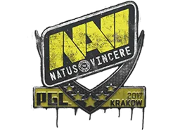 封装的涂鸦 | Natus Vincere | 2017年克拉科夫锦标赛