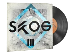 StatTrak™ 音乐盒 | Skog - III-竞技场