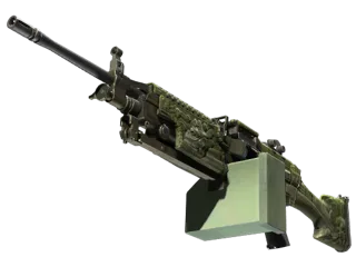 M249 | 阿兹特克 (战痕累累)