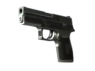 P250 | 卡特尔 (战痕累累)
