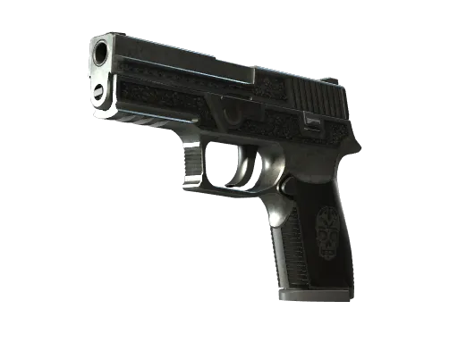 P250 | 卡特尔 (破损不堪)