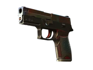 P250 | 赛博先锋 (久经沙场)