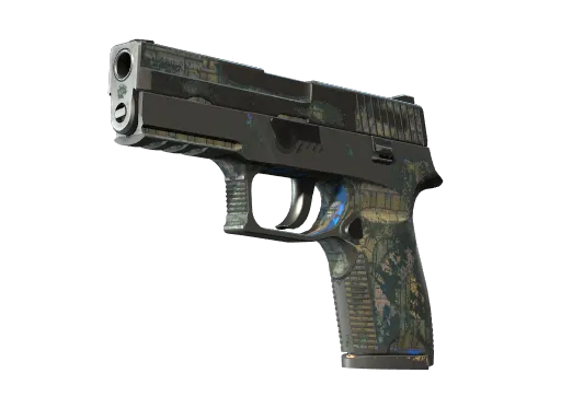 P250 | 交换机 (久经沙场)