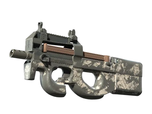P90（纪念品） | 解视图 (破损不堪)