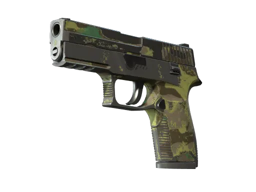 P250 | 北方森林 (久经沙场)