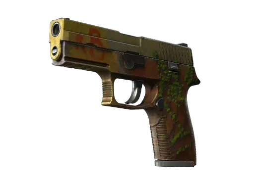 P250（StatTrak™） | 炼狱小镇 (破损不堪)