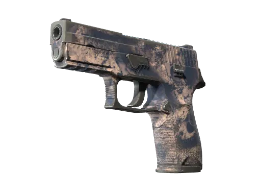 P250（纪念品） | 天旱 (久经沙场)