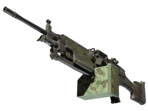 M249 | 丛林 DDPAT (战痕累累)