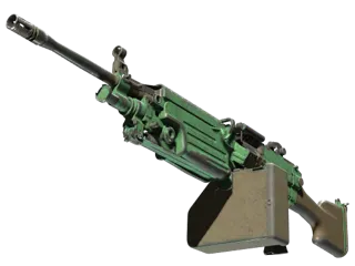 M249 | 狂野丛林 (战痕累累)