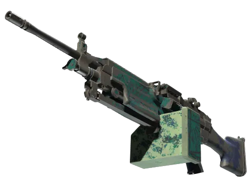 M249（纪念品） | 海滨预测者 (久经沙场)
