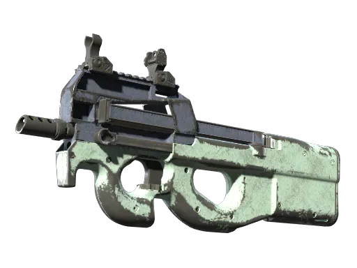 P90（纪念品） | 暴风呼啸 (崭新出厂)