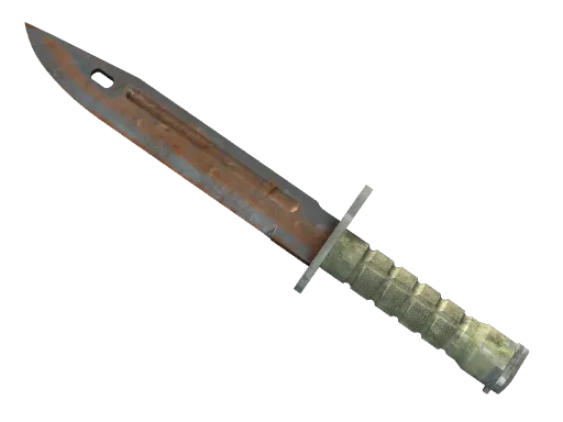 刺刀（★ StatTrak™） | 外表生锈 (破损不堪)