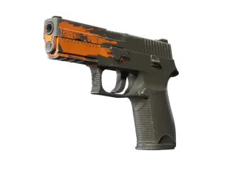 P250 | 狂野飞溅 (久经沙场)