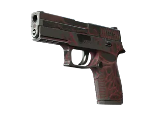 P250 | 污染物 (久经沙场)