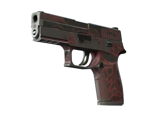 P250 | 污染物 (战痕累累)