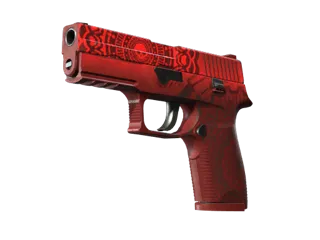 P250 | 死亡轮回 (久经沙场)