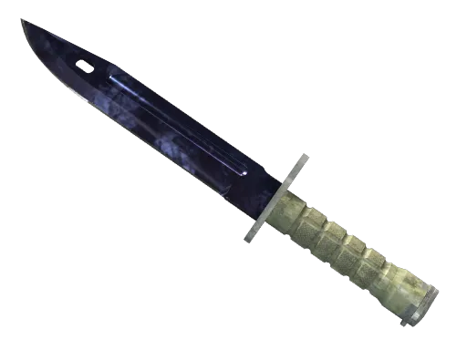 刺刀（★ StatTrak™） | 多普勒 (略有磨损)