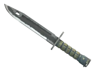 刺刀（★） | 噩梦之夜 (久经沙场)