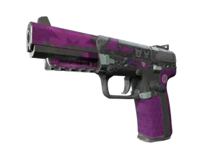 FN57 | 霸意大名 (久经沙场)