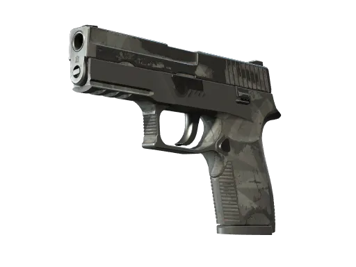 P250 | 多面体 (战痕累累)
