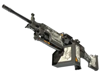 M249 | 鬼影 (久经沙场)