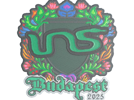 印花 | INS（刺绣）| 2025年布达佩斯锦标赛