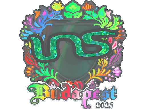 印花 | INS（全息）| 2025年布达佩斯锦标赛