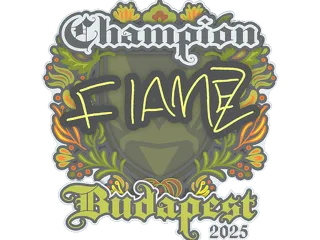 印花 | FlameZ（冠军）| 2025年布达佩斯锦标赛