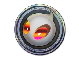 印花 | Team Dignitas（全息）| 2014年科隆锦标赛