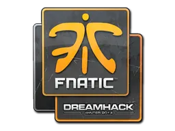 印花 | Fnatic | 2014年 DreamHack 锦标赛