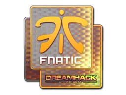 印花 | Fnatic(全息)| 2014年 DreamHack 锦标赛