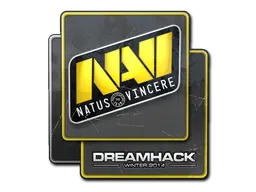 印花 | Natus Vincere | 2014年 DreamHack 锦标赛