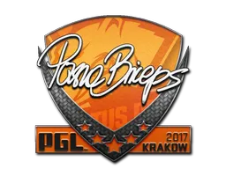 印花 | pashaBiceps | 2017年克拉科夫锦标赛