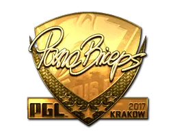 印花 | pashaBiceps（金色）| 2017年克拉科夫锦标赛