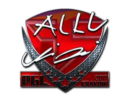 印花 | allu（闪亮）| 2017年克拉科夫锦标赛