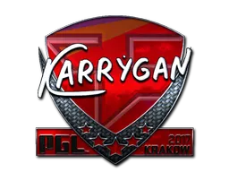 印花 | karrigan(闪亮)| 2017年克拉科夫锦标赛