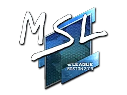 印花 | MSL（闪亮）| 2018年波士顿锦标赛