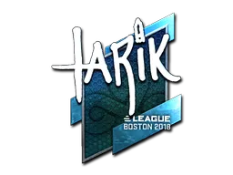 印花 | tarik（闪亮）| 2018年波士顿锦标赛