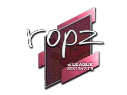 印花 | ropz | 2018年波士顿锦标赛