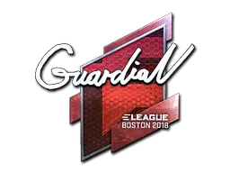 印花 | GuardiaN（闪亮）| 2018年波士顿锦标赛