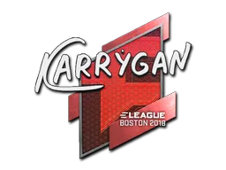 印花 | karrigan | 2018年波士顿锦标赛