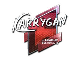 印花 | karrigan（闪亮）| 2018年波士顿锦标赛